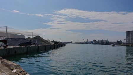 ちょい投げ、サビキ釣り