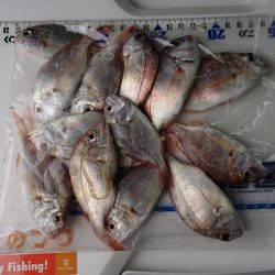 タチウオ釣り、キス釣り