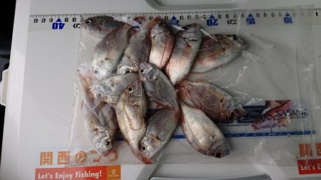 タチウオ釣り、キス釣り