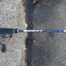 湾奥マイポイント調査