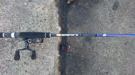 湾奥マイポイント調査