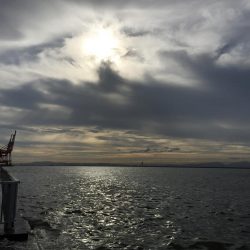 サクッと晩酌の友ゲット