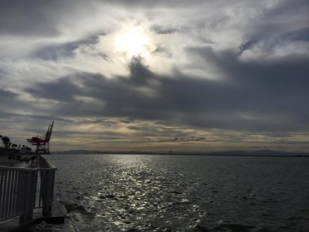 サクッと晩酌の友ゲット