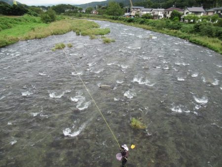 狩野川(狩野川漁業協同組合) 釣果