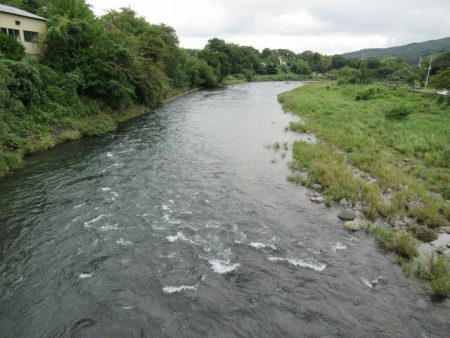 狩野川(狩野川漁業協同組合) 釣果