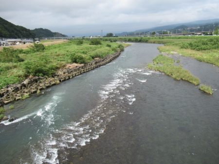 狩野川(狩野川漁業協同組合) 釣果
