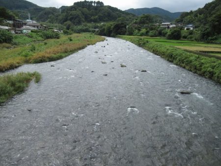 狩野川(狩野川漁業協同組合) 釣果