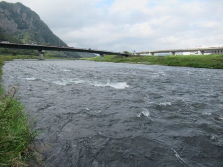狩野川(狩野川漁業協同組合) 釣果