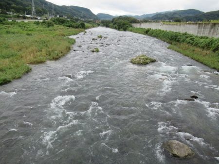 狩野川(狩野川漁業協同組合) 釣果