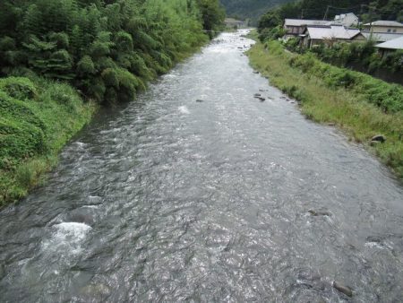狩野川(狩野川漁業協同組合) 釣果
