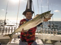 オーシャンマスター 釣果