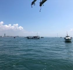 利弥丸（としやまる） 釣果