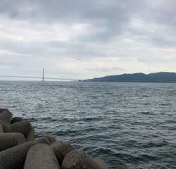 利弥丸（としやまる） 釣果