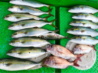 利弥丸（としやまる） 釣果