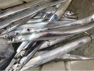 利弥丸（としやまる） 釣果