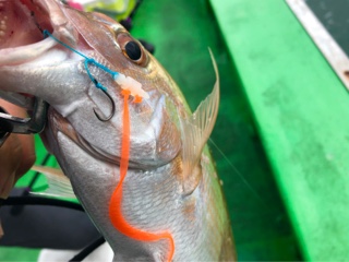 利弥丸（としやまる） 釣果