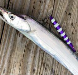 利弥丸（としやまる） 釣果