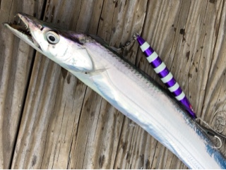 利弥丸（としやまる） 釣果