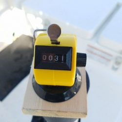 Magic（マジック） 釣果