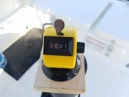 Magic（マジック） 釣果