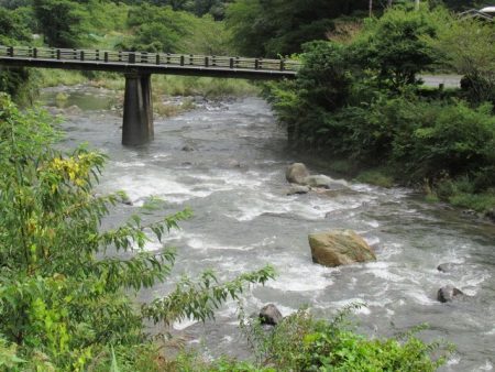 狩野川(狩野川漁業協同組合) 釣果