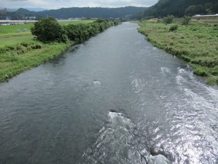 狩野川(狩野川漁業協同組合) 釣果