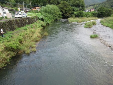 狩野川(狩野川漁業協同組合) 釣果