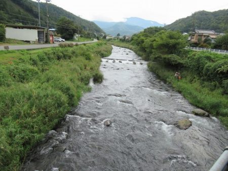 狩野川(狩野川漁業協同組合) 釣果