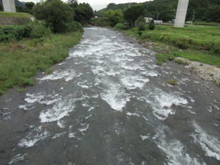 狩野川(狩野川漁業協同組合) 釣果