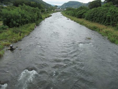 狩野川(狩野川漁業協同組合) 釣果
