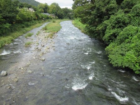 狩野川(狩野川漁業協同組合) 釣果