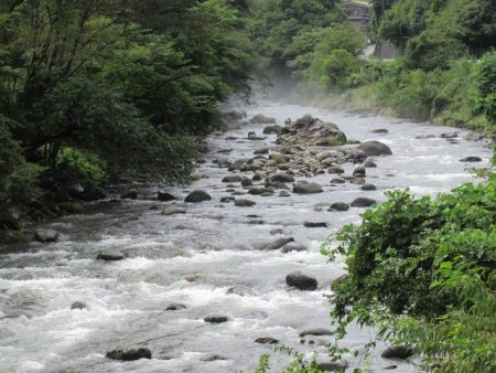 狩野川(狩野川漁業協同組合) 釣果