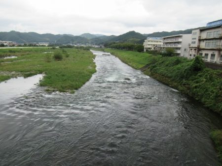 狩野川(狩野川漁業協同組合) 釣果