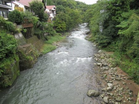 狩野川(狩野川漁業協同組合) 釣果