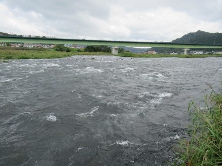 狩野川（狩野川漁業協同組合） 釣果