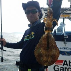 Magic（マジック） 釣果