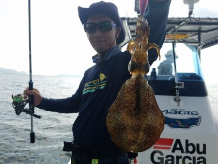 Magic（マジック） 釣果