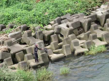 狩野川(狩野川漁業協同組合) 釣果
