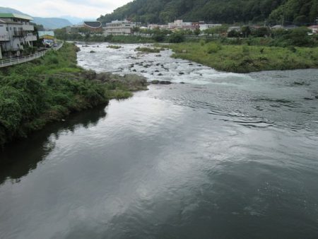 狩野川(狩野川漁業協同組合) 釣果