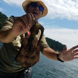 Magic（マジック） 釣果