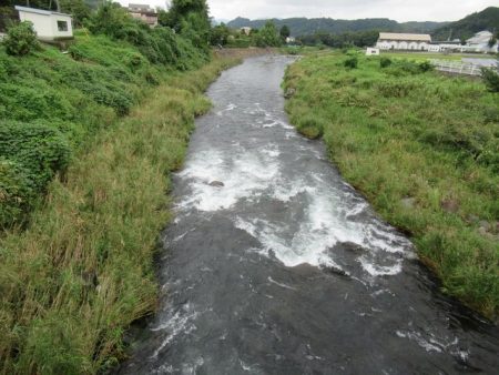 狩野川(狩野川漁業協同組合) 釣果