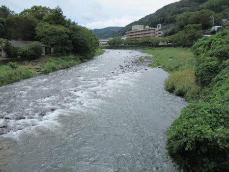 狩野川(狩野川漁業協同組合) 釣果