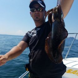 Magic（マジック） 釣果