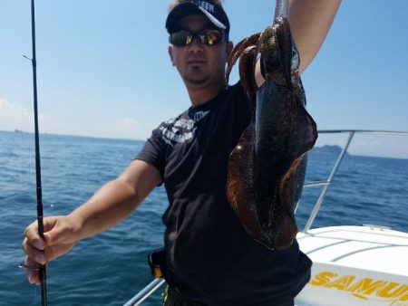 Magic（マジック） 釣果