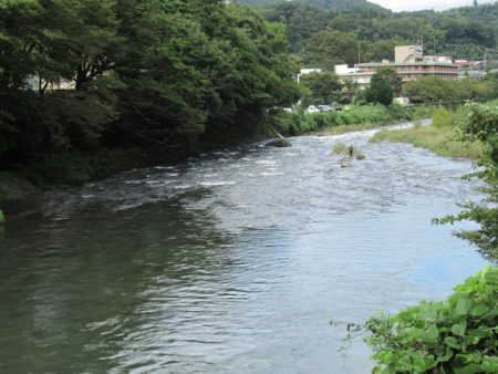 狩野川(狩野川漁業協同組合) 釣果