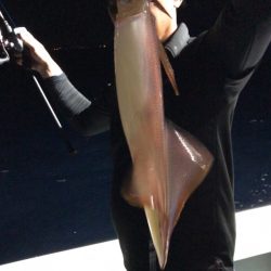 Blue.win 海人丸 釣果