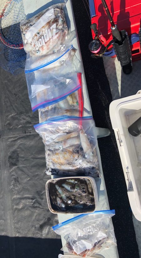 あみや渡船 釣果