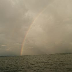 遊漁船 家入 釣果