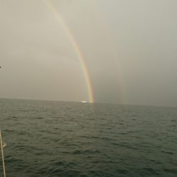 遊漁船 家入 釣果