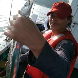 小島丸 釣果